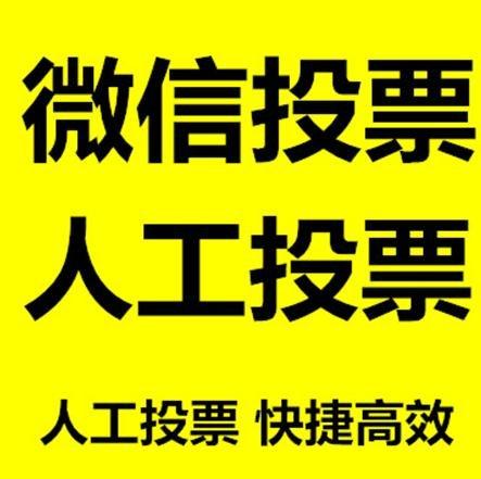 延安市投票活动拉票能被查出来吗？如何操作能不被发现？